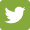 Social icon