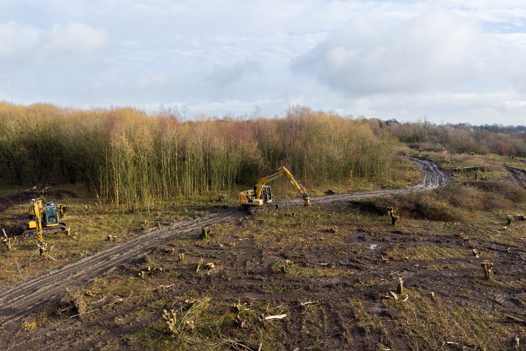 Yellow excavators clearing muddy scrubland with tree stumps and a dirt track leading into a stand of thin deciduous trees under a cloudy sky